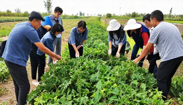 企业维护流程中的农业技术推广适用条件与处理方法