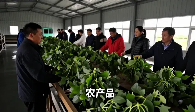 山东广农中药材种植有限公司分享涵盖基地合作发展新观点